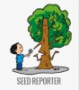 SEED REPORTER NEWS